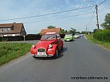Zandlemig Vlaanderen